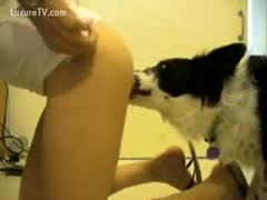 Lucky excited dog licks and fucks a ready youthful whore